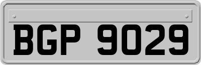 BGP9029
