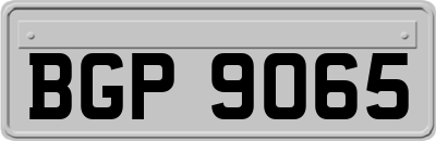 BGP9065