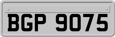 BGP9075