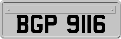 BGP9116