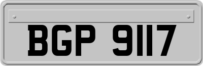 BGP9117