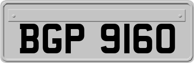 BGP9160