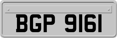BGP9161