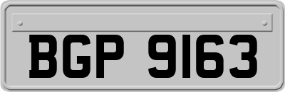BGP9163