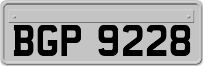 BGP9228