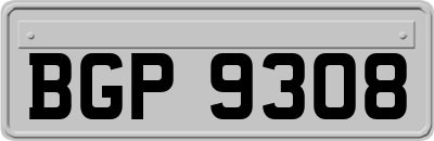 BGP9308