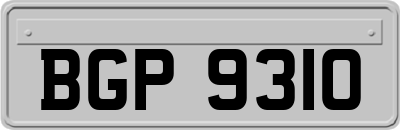 BGP9310