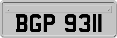 BGP9311