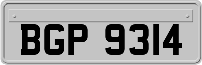BGP9314