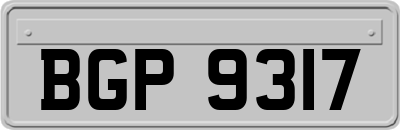BGP9317