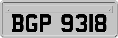 BGP9318