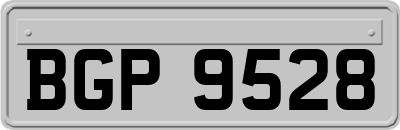 BGP9528