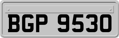 BGP9530