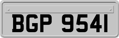 BGP9541
