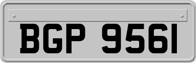 BGP9561