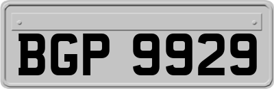 BGP9929