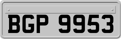 BGP9953