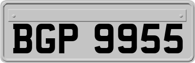 BGP9955