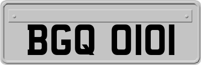 BGQ0101