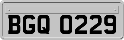 BGQ0229