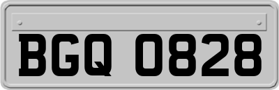 BGQ0828