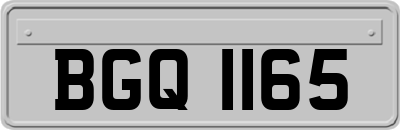 BGQ1165