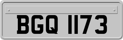 BGQ1173