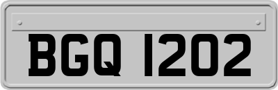 BGQ1202
