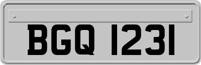 BGQ1231