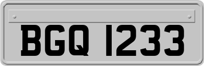 BGQ1233