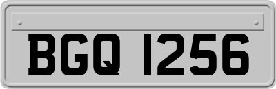 BGQ1256