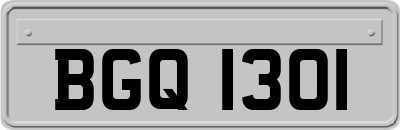 BGQ1301