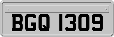 BGQ1309