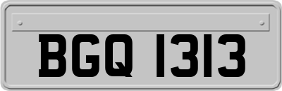 BGQ1313