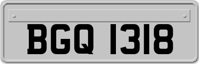BGQ1318