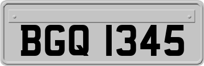 BGQ1345
