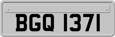 BGQ1371