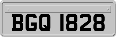BGQ1828