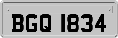 BGQ1834