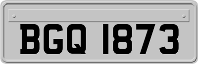 BGQ1873