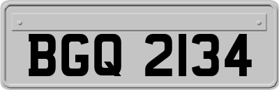 BGQ2134