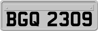 BGQ2309