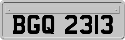 BGQ2313