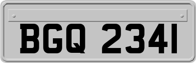 BGQ2341