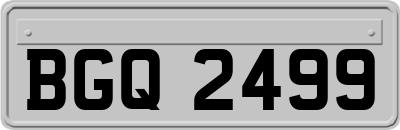 BGQ2499