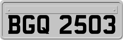 BGQ2503