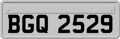 BGQ2529
