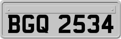BGQ2534