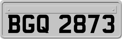 BGQ2873