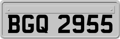 BGQ2955